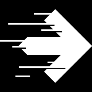 Partner logo 5
