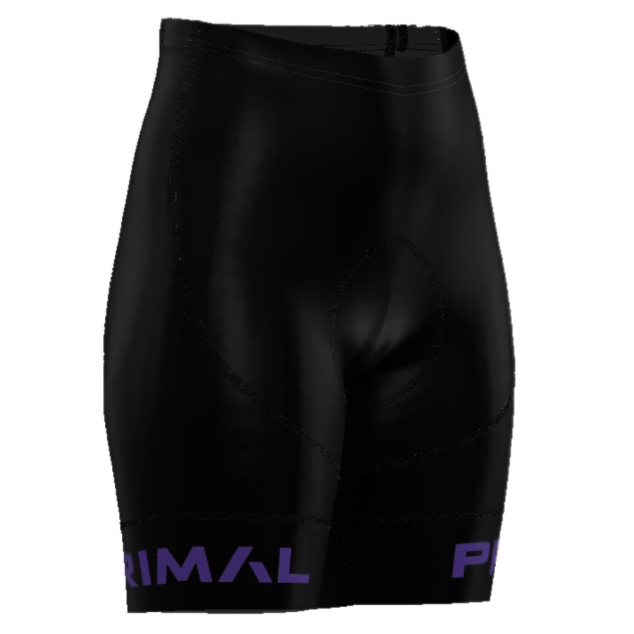 Lunix Slate Women's Purple Evo 2.0 Shorts