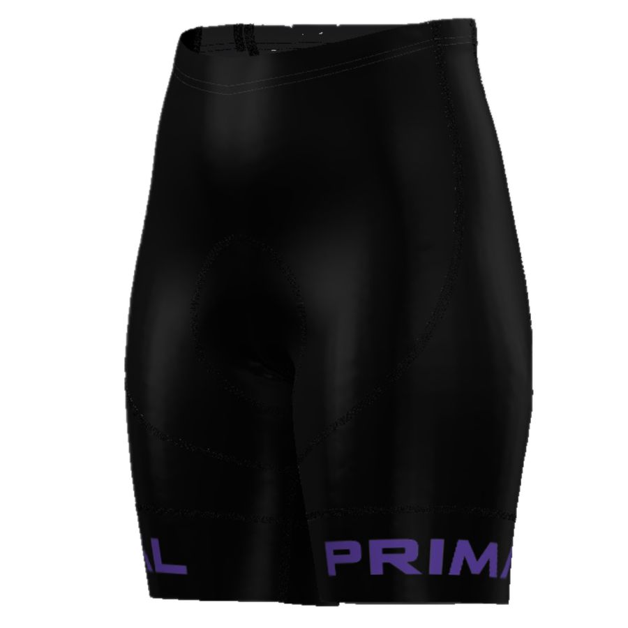 Lunix Slate Women's Purple Evo 2.0 Shorts